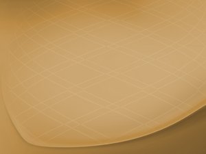 服务全方位解析